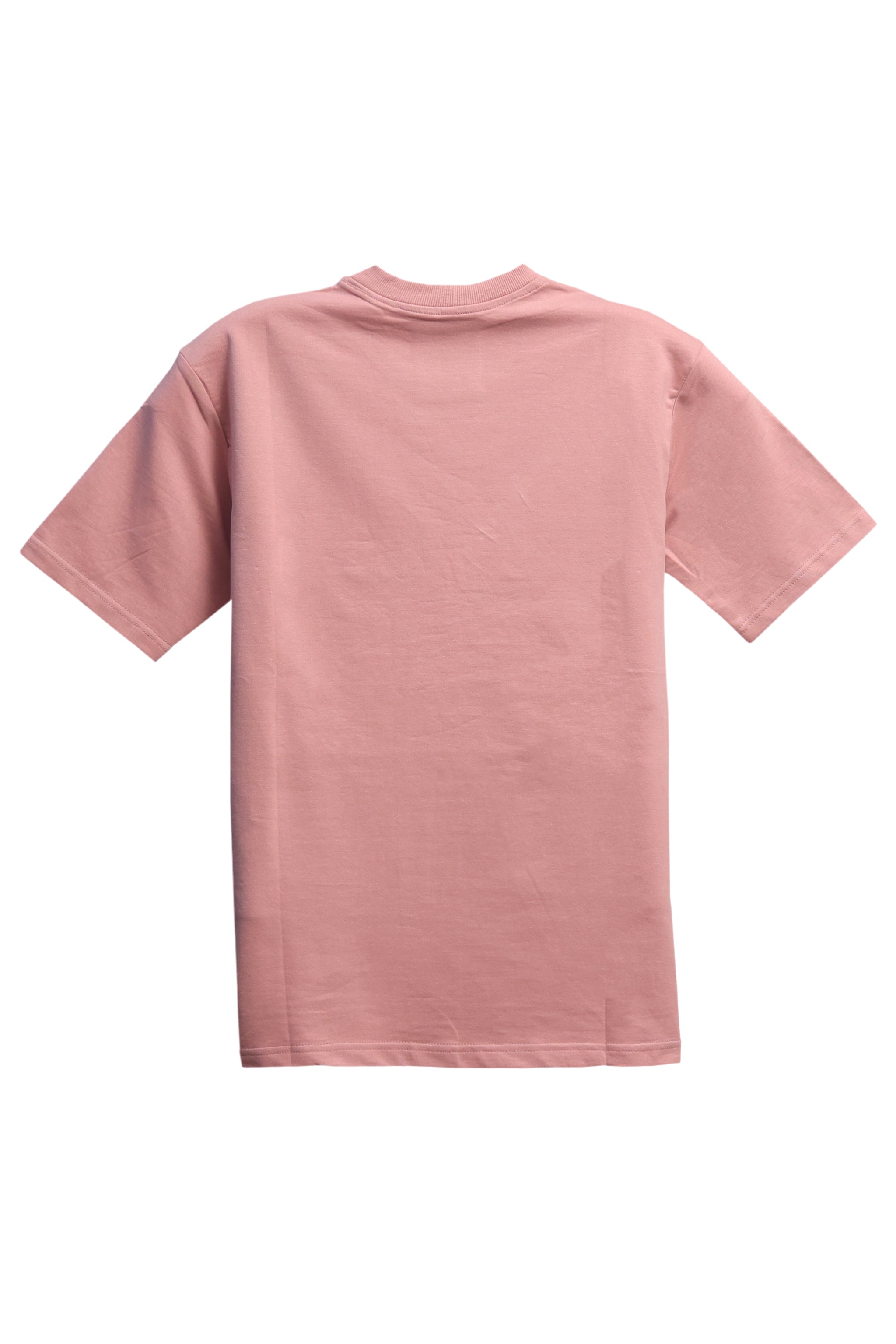 Embroidered Oversized T-shirt Pink Wild Stitch