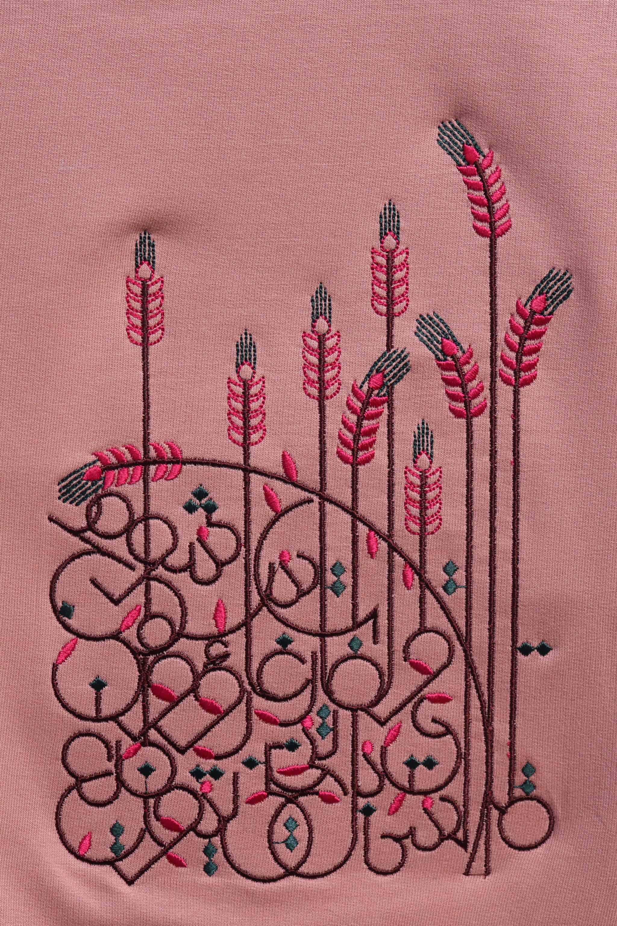 Embroidered Oversized T-shirt Pink Wild Stitch